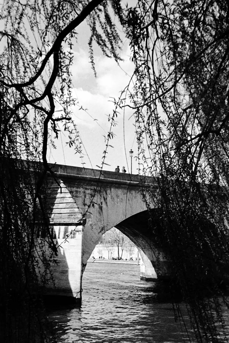 Couple on a bridge in Paris