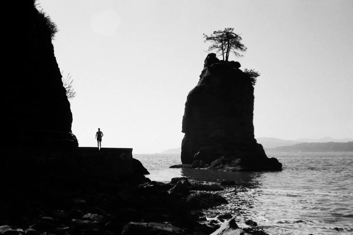 landscape 001