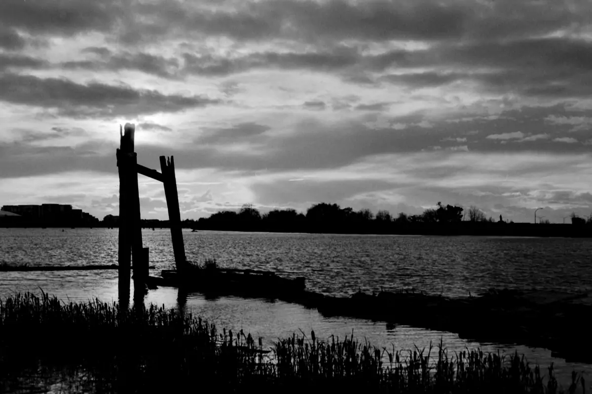 landscape 004