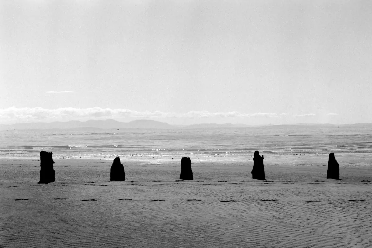 landscape 011