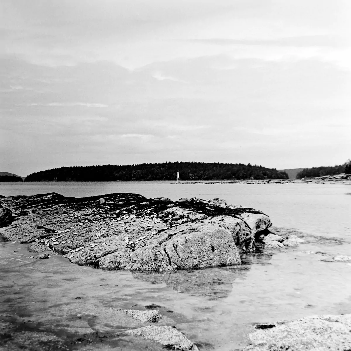 landscape 013