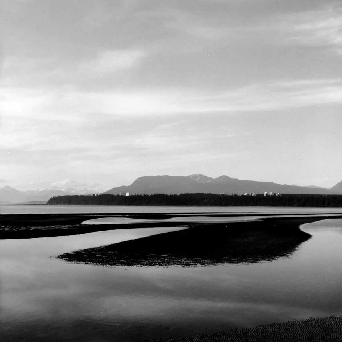 landscape 015